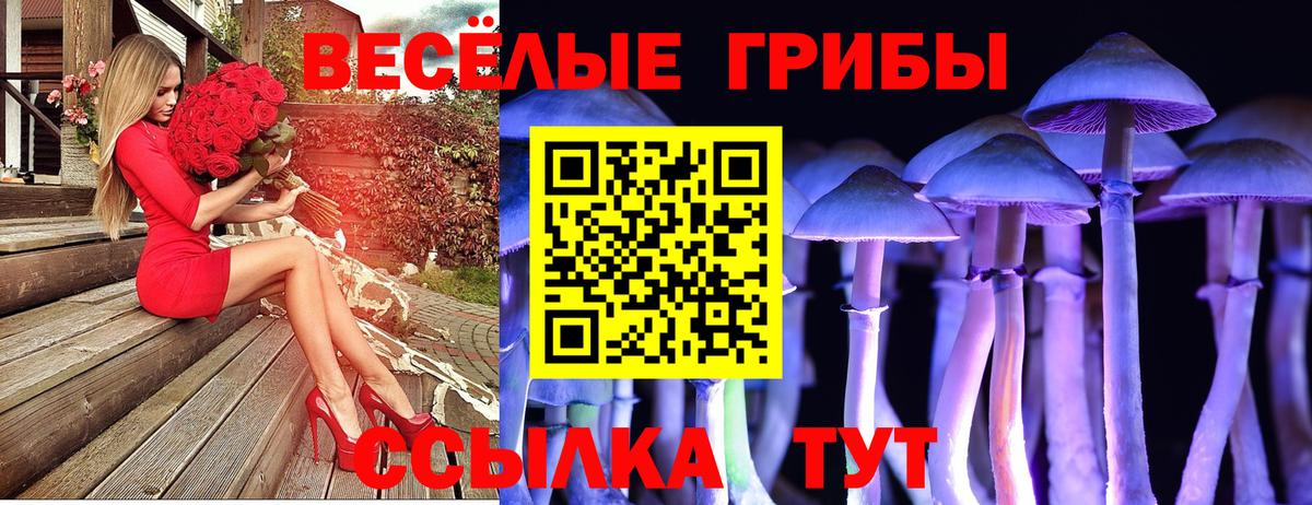 Йошкар-Ола  Галлюциногенные грибы прущие грибы  Псилоцибиновые грибы Cubensis  Вход с VPN 